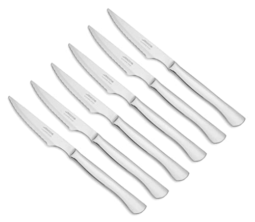 Arcos Table Messer - Steakmesser Set 6 Stück (6 Messer) - Monoblock aus einem Stück Edelstahl 110 mm - Farbe Silber Arcos Table Messer - Steakmesser Set 6 Stück (6 Messer) - Monoblock aus einem Stück Edelstahl 110 mm - Farbe Silber von Arcos