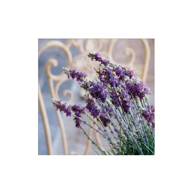 Art for the Home LEINWANDBILD Lila