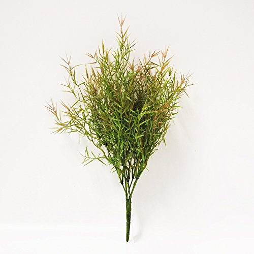 Asparagus-Busch, Kunstpflanze, Steckpflanze, L=38 cm, grün-braun von Unbekannt