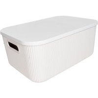 Aufbewahrungsbox MICHELINO mit Deckel 1 Stück ca. 13 l Serie Alytia beige