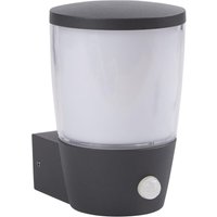 Außenlampe Wand Bewegungssensor IP44 E27 Anthrazit Weiß Außenlampe Wand Bewegungssensor IP44 E27 Anthrazit Weiß von Searchlight