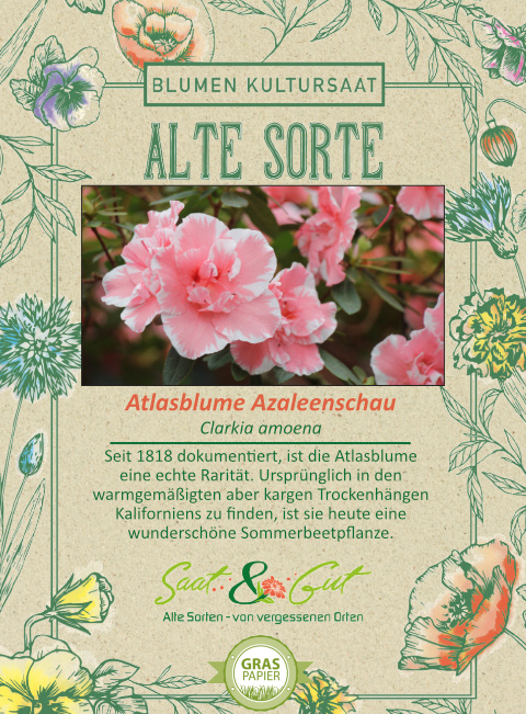 BIO-Atlasblume 'Azaleenschau'