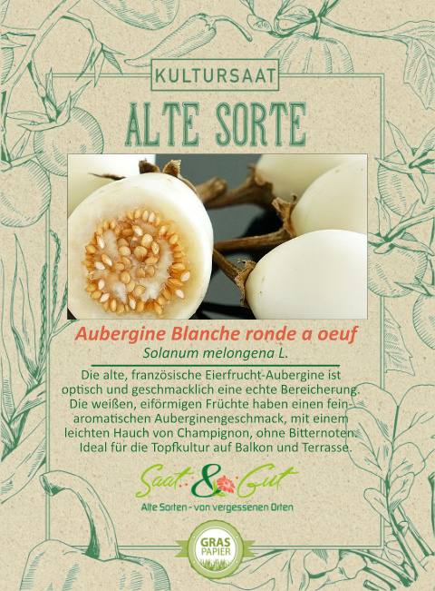 BIO-Aubergine Blanche ronde a oeuf