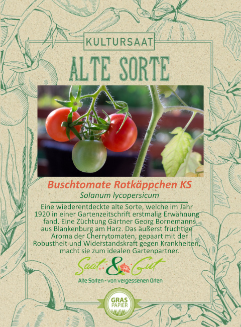 BIO-Buschtomate Rotk?ppchen KS