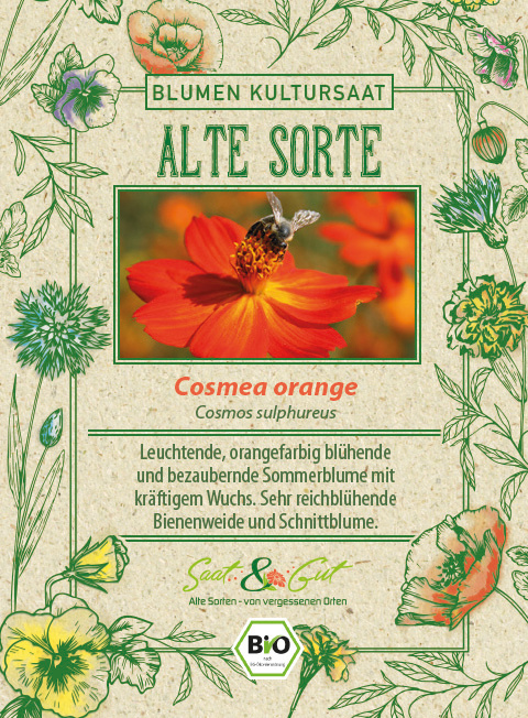 BIO-Cosmea orange