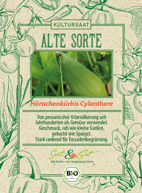 BIO-H?rnchenk?rbis Cyclanthere