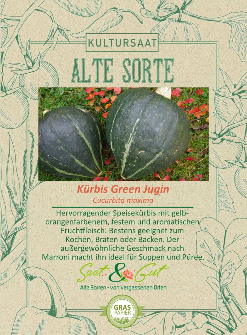 BIO-K?rbis Green Jugin