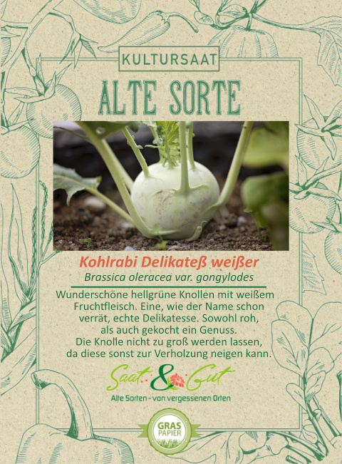 BIO-Kohlrabi Delikate? wei?er
