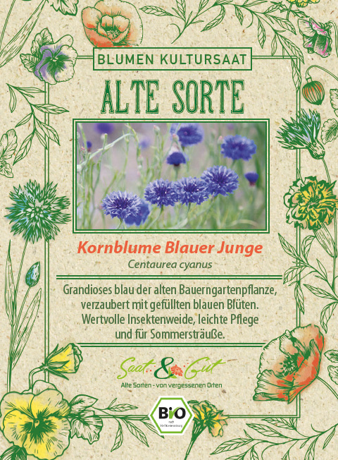BIO-Kornblume Blauer Junge
