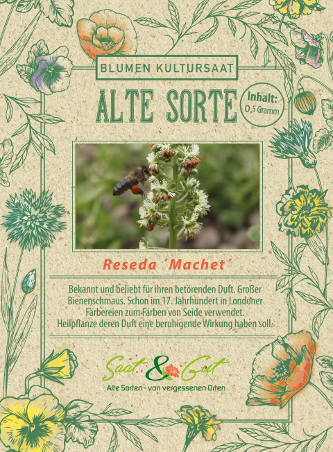 BIO-Reseda 'Machet'