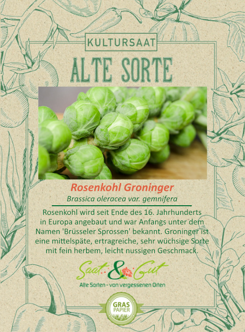 BIO-Rosenkohl Groninger