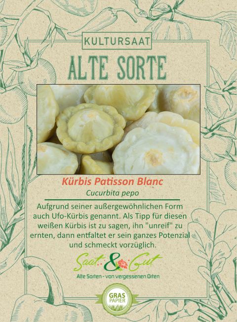 BIO-Sommerk?rbis Patisson Blanc