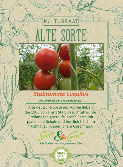 BIO-Stabtomate Lukullus