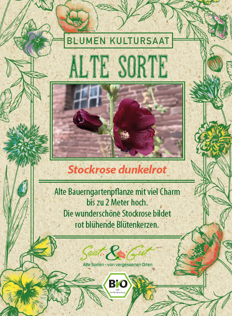 BIO-Stockrose dunkelrot