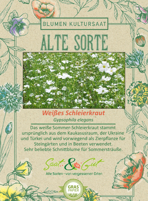 BIO-Wei?es Schleierkraut