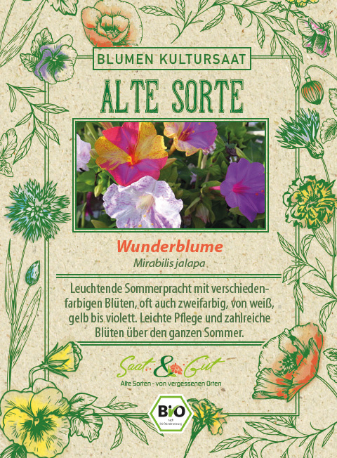 BIO-Wunderblume