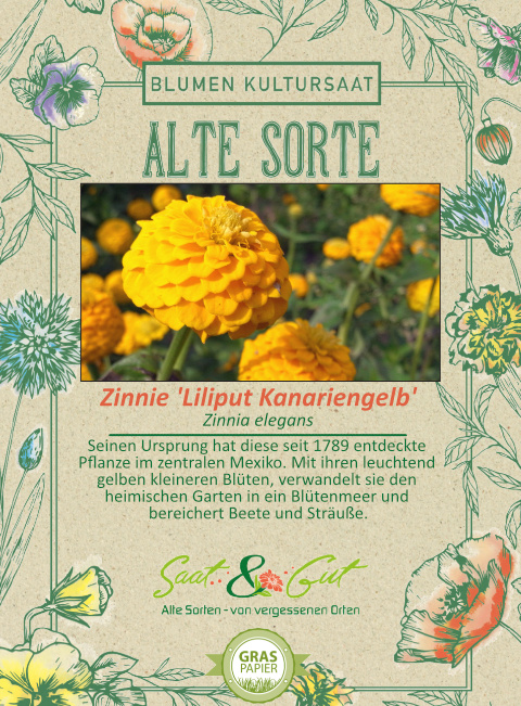 BIO-Zinnie 'Liliput Kanariengelb'
