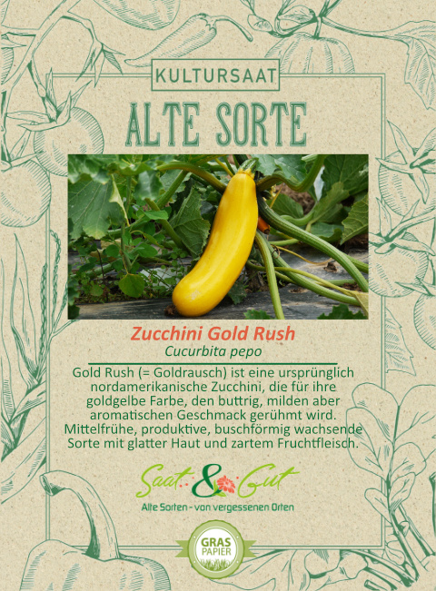 BIO-Zucchini Gold Rush