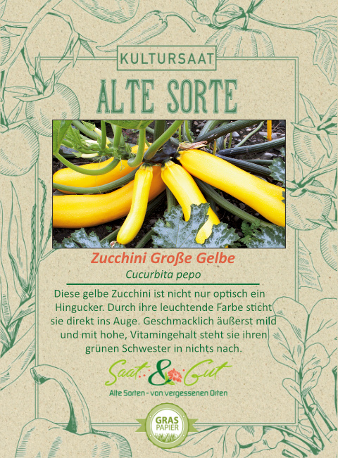 BIO-Zucchini Gro?e Gelbe
