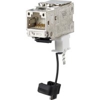 BTR NETCOM C6Amodul K 270Grd Jack Cat.6A 130B22-E BTR NETCOM C6Amodul K 270Grd Jack Cat.6A 130B22-E von btr