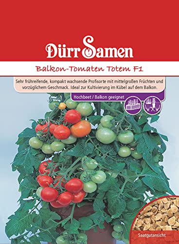 Balkon Tomaten Samen Totem F1 Rote Tomate ca 8 Korn Tomatensamen Saatgut Robust Ertragreich Balkon Garten Hochbeet Kübel Dürr Samen von Dürr-Samen