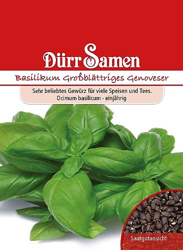 Basilikum Samen Großblättriges Genoveser Basilikumsamen ca 200 Korn Küchenkräuter Kräutersamen Saatgut Balkon Garten Hochbeet Kübel Dürr Samen von Dürr-Samen