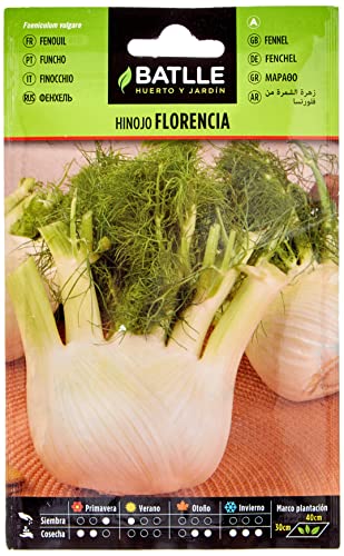 Batlle Gemüsesamen - Knollenfenchel Florenz (2000 Seeds) von Semillas Batlle