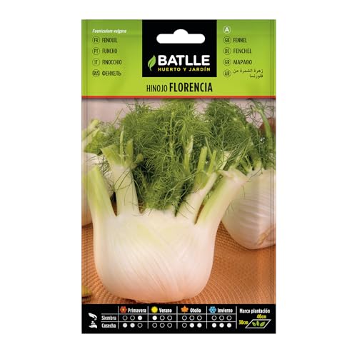 Batlle Gemüsesamen - Knollenfenchel Florenz (2000 Seeds) von Semillas Batlle