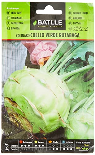 Batlle Gemüsesamen - Kohlrabi Sorte Rutabaga Cuello Verde (7000 Samen) von Semillas Batlle