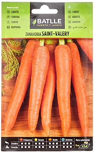 Batlle Gemüsesamen - Möhren Saint Valery (7500 Samen) von Semillas Batlle
