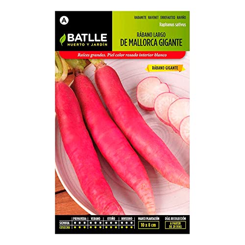 Batlle Gemüsesamen - Radieschen Riesig Lang - Mallorca (1800 Samen) von Semillas Batlle
