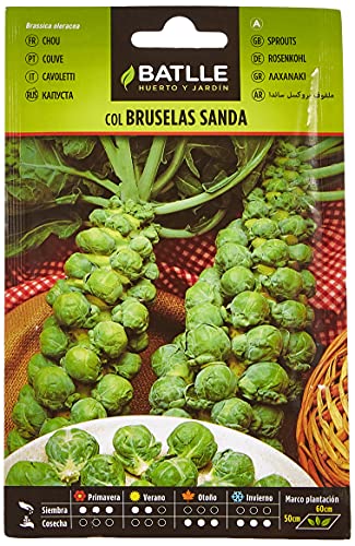 Batlle Gemüsesamen - Rosenkohl Sanda (2400 Samen) von Semillas Batlle