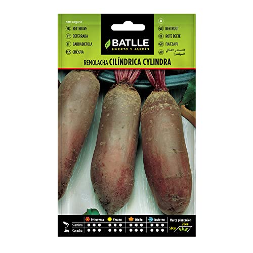 Batlle Gemüsesamen - Rote Rüben Zylindrisch (500 Samen) von Semillas Batlle