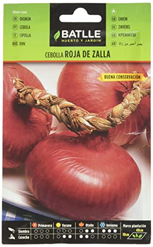 Batlle Gemüsesamen - Rote Zwiebel Zalla (Samen) von Semillas Batlle