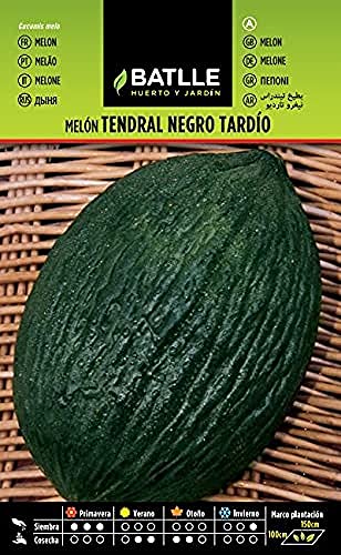Batlle Gemüsesamen - Spät Honigmelone Tendral schwarz tardío (245 Samen) von Semillas Batlle