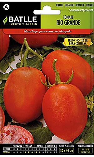 Batlle Gemüsesamen - Tomate Río Grande (875 Samen) von Semillas Batlle