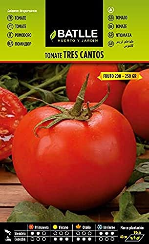 Batlle Gemüsesamen - Tomate Tres Cantos (350 Samen) von Semillas Batlle