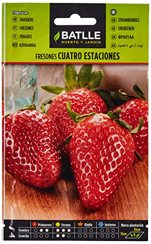 Batlle aromatic seeds - Strawberries 4 seasons (Seeds - 8cm) von Semillas Batlle