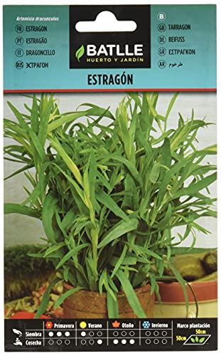 Batlle Kräutersamen - Estragon (Samen - 60-70cm) von Semillas Batlle