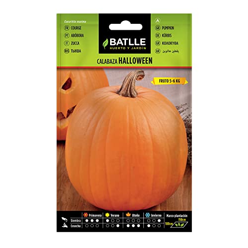 Batlle Gemüsesamen - Halloween Kürbis (6g Samen) von Semillas Batlle