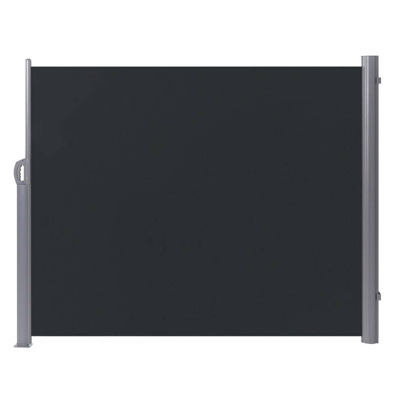 Beliani SEITENMARKISE Graphit, Silber