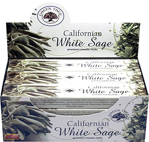 Belladecora Räucherstäbchen Green Tree White Sage - 6 Packungen von Belladecora