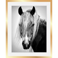 queence Bild "Pferdekopf" von Queence