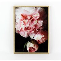 Bild mit Goldrahmen Pfingstrose von Werner Voss Schwarz / Rosa