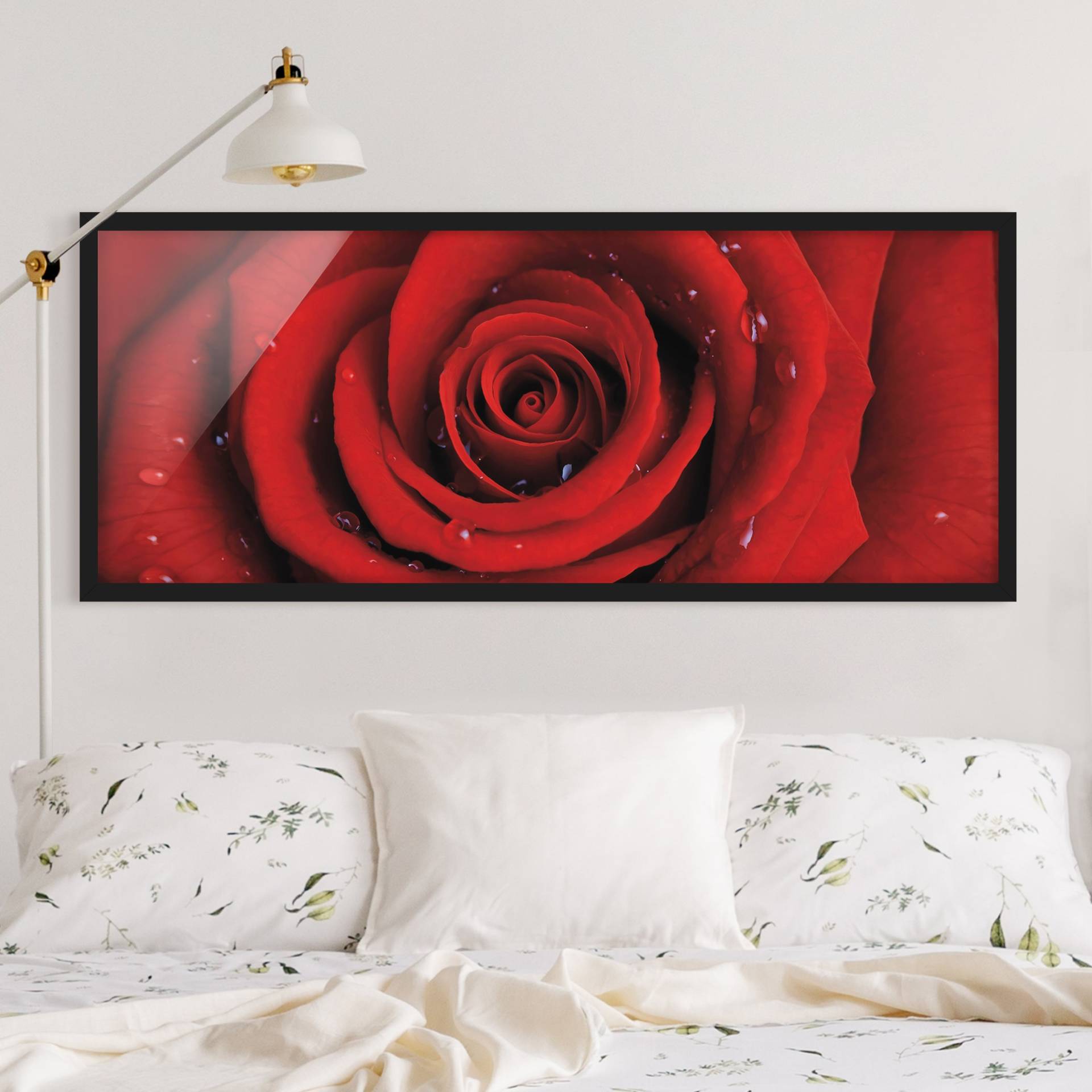 Bild mit Rahmen - Panorama Rote Rose mit Wassertropfen Bild mit Rahmen - Panorama Rote Rose mit Wassertropfen