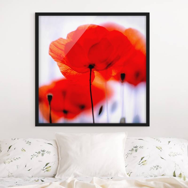 Bild mit Rahmen - Quadrat Magic Poppies