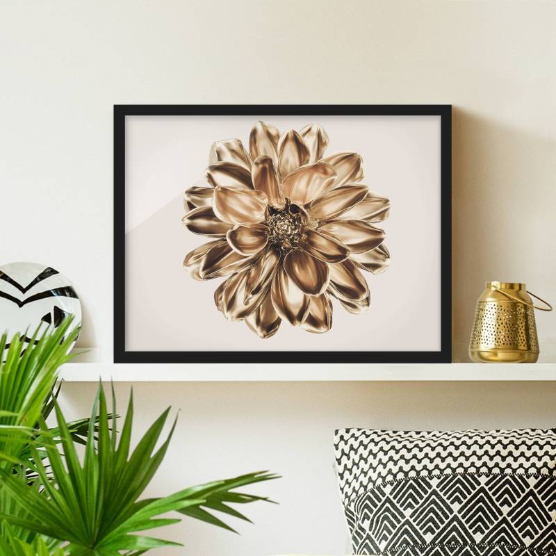 Bild mit Rahmen Dahlie Blume Gold Metallic