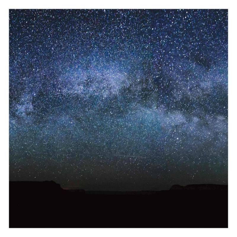 Bilderwelten FOTOTAPETE Schwarz