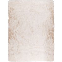 Teppich Tiril 160x220 cm, Beige