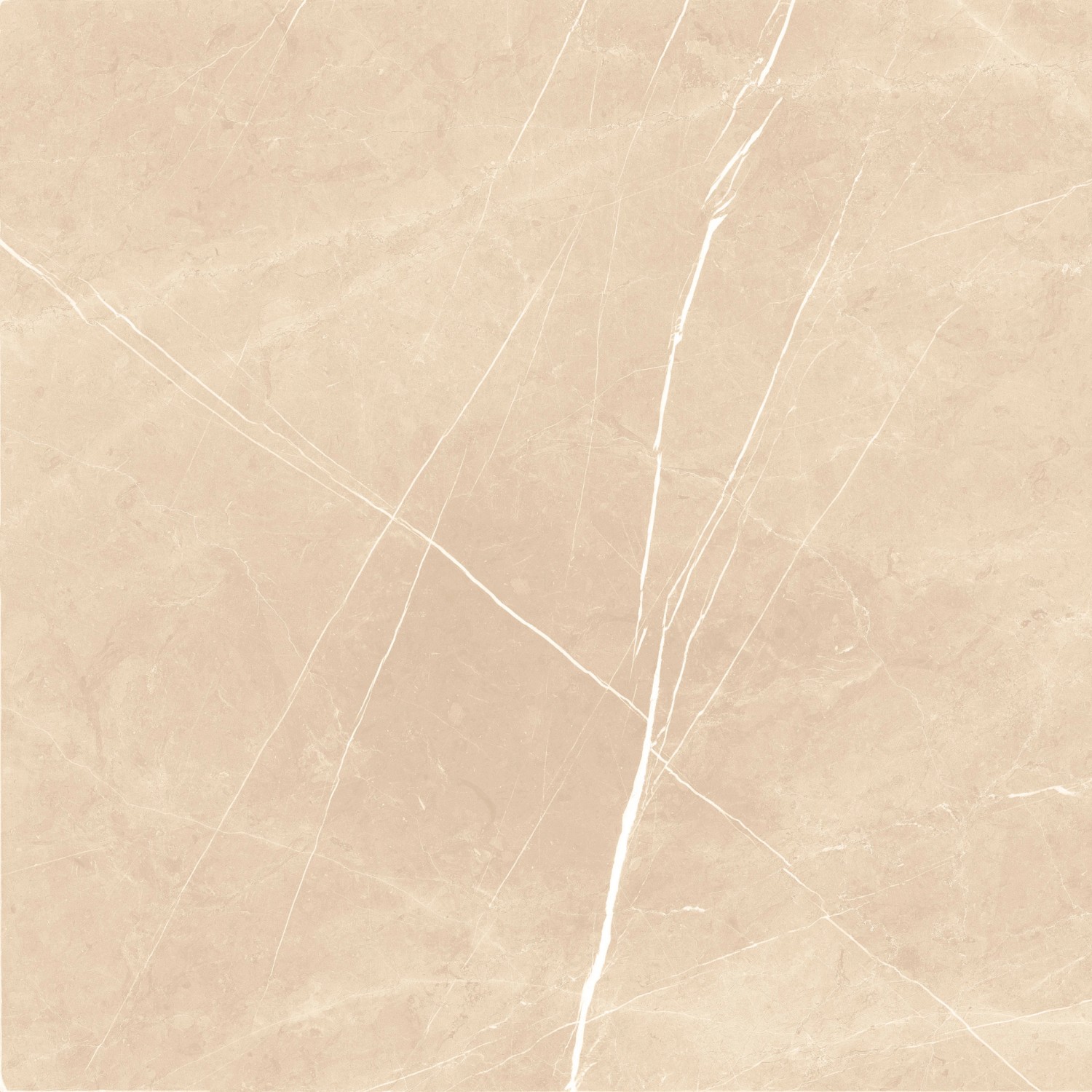 Bodenfliese Feinsteinzeug Beige 60 cm x 60 cm